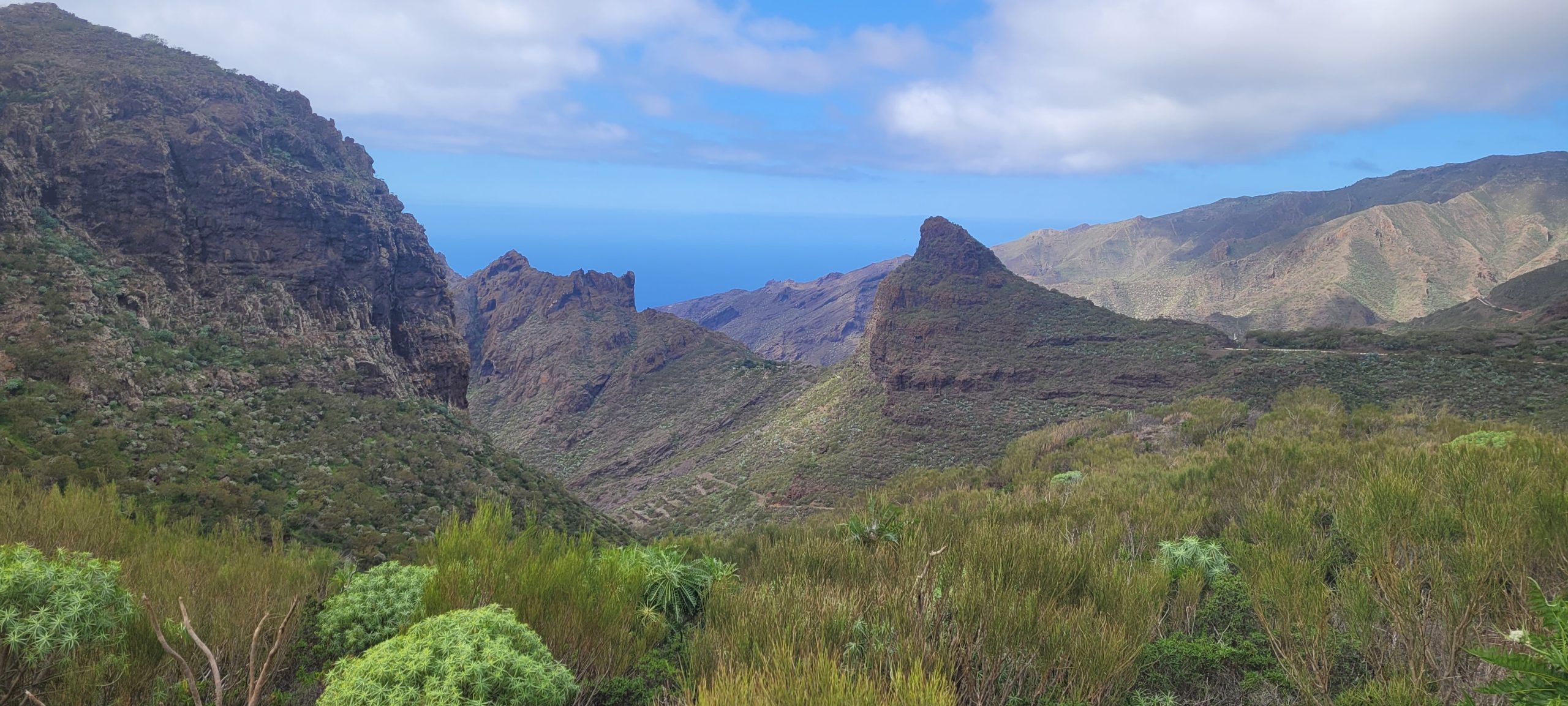 Retreat a Tenerife - 4/8 marzo 2026 - immagine 2