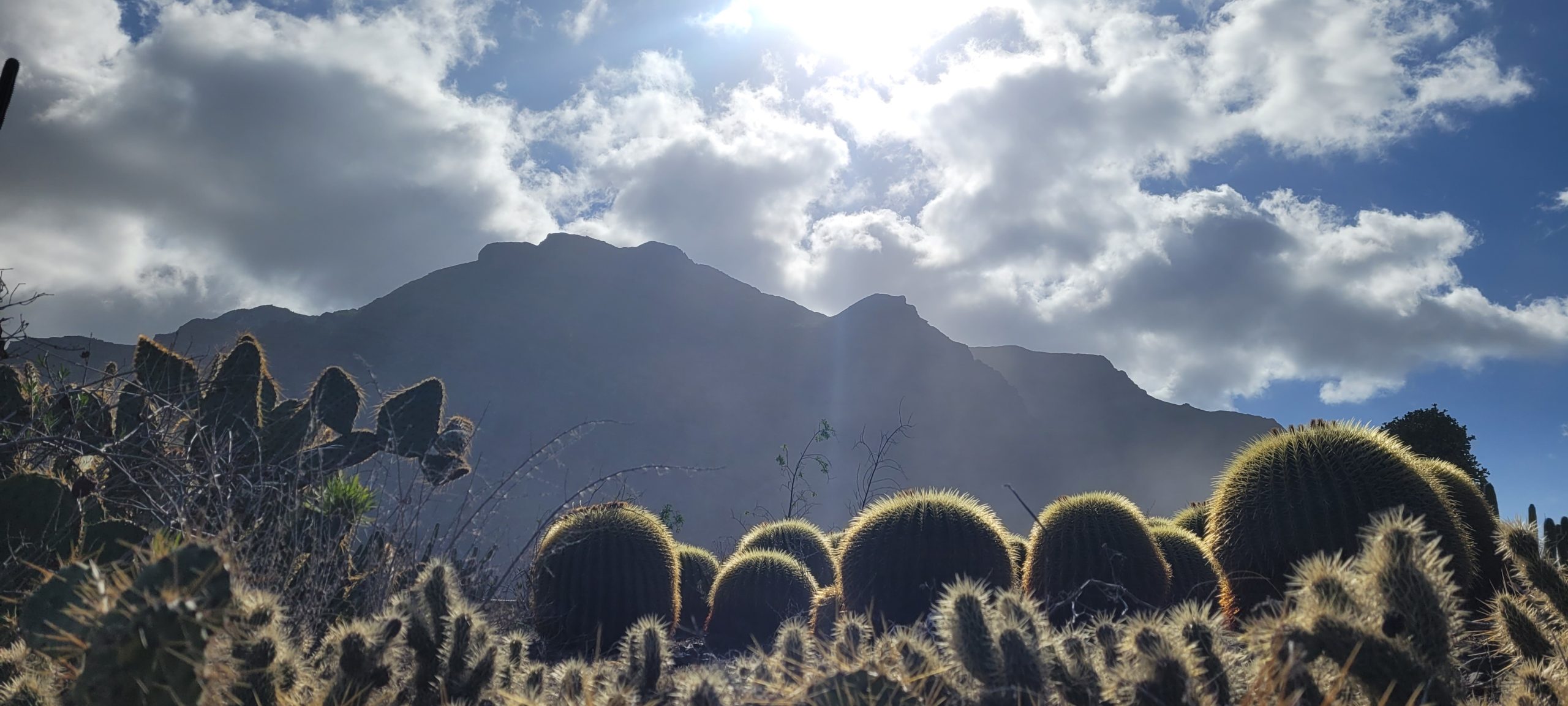 Retreat a Tenerife - 4/8 marzo 2026 - immagine 5