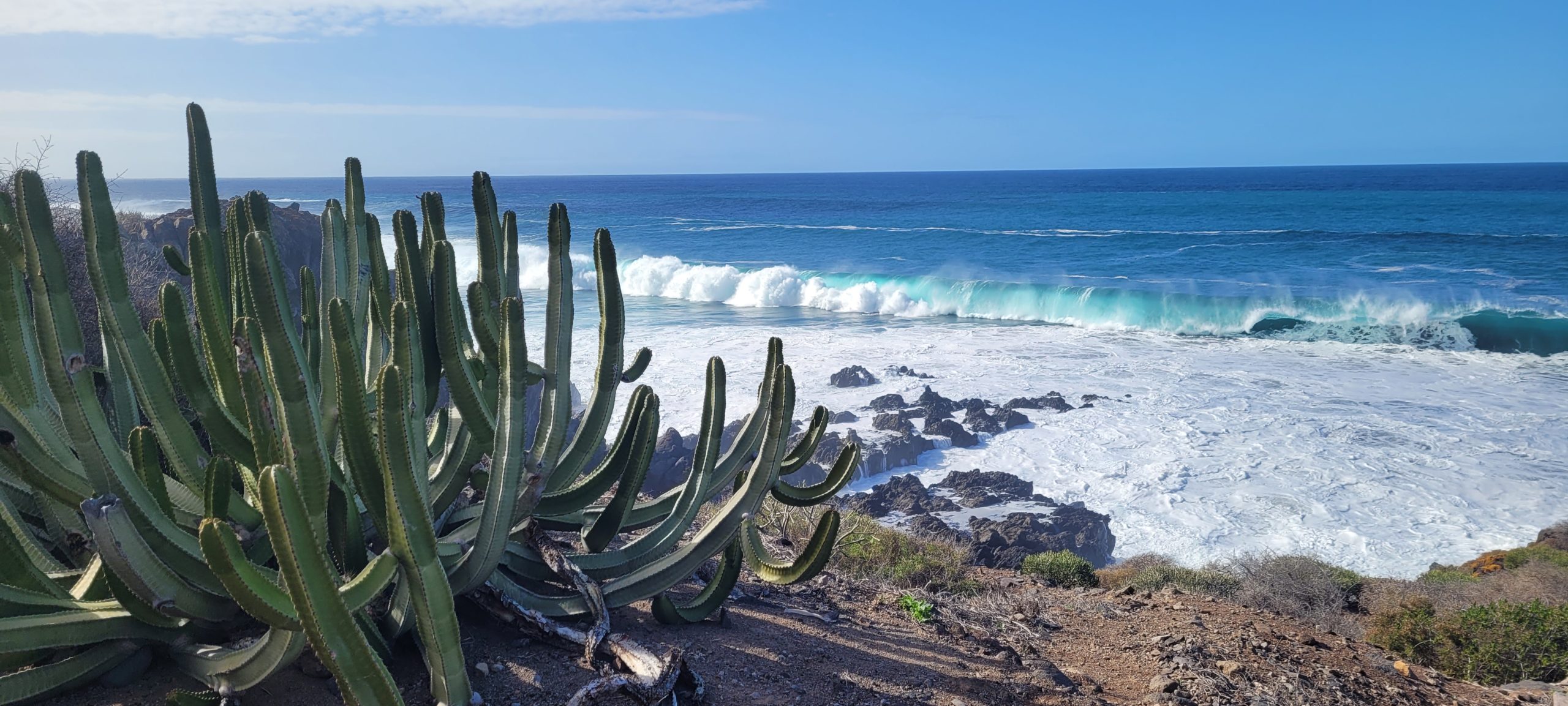 Retreat a Tenerife - 4/8 marzo 2026 - immagine 4