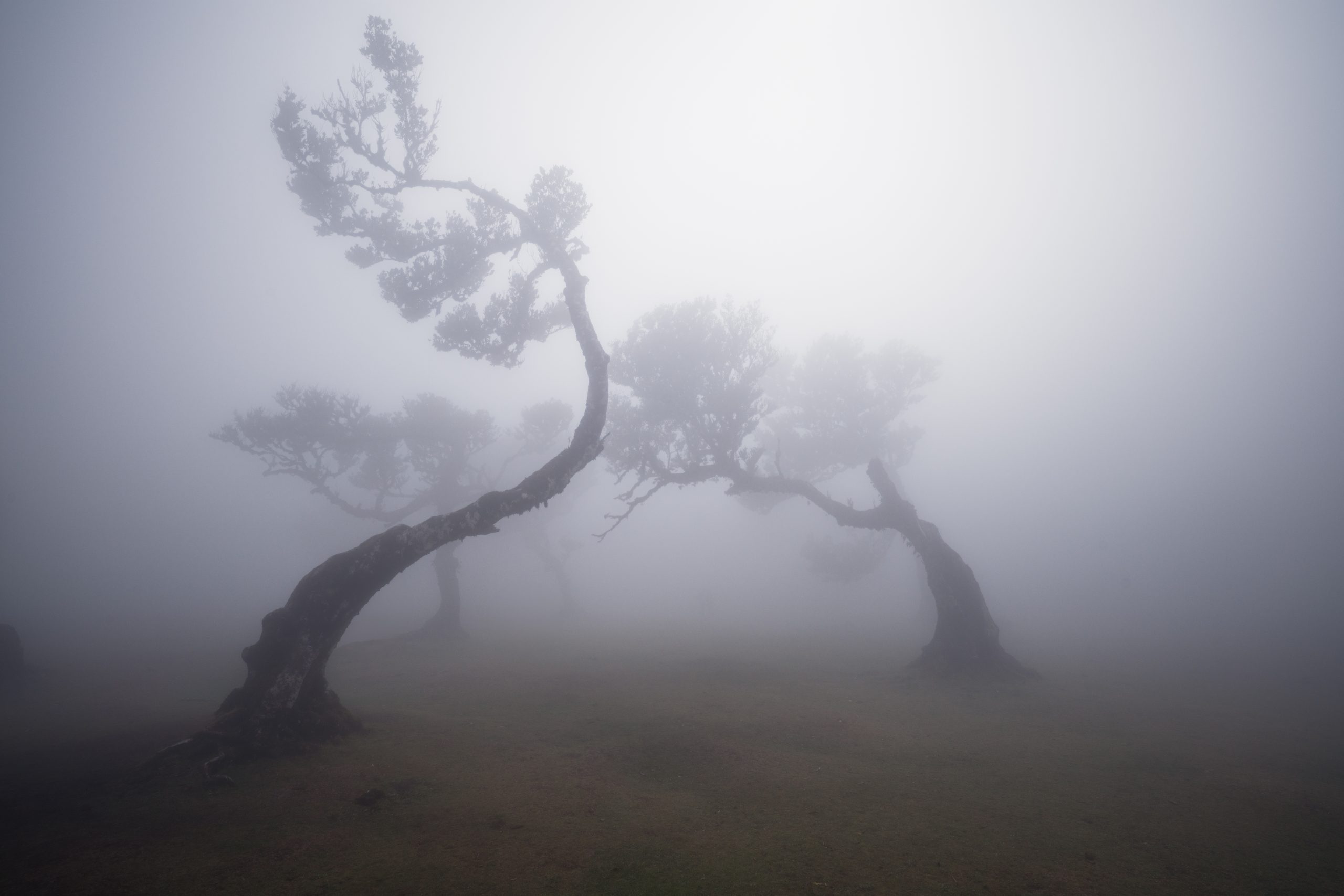 Foto tour Madeira - marzo - immagine 3