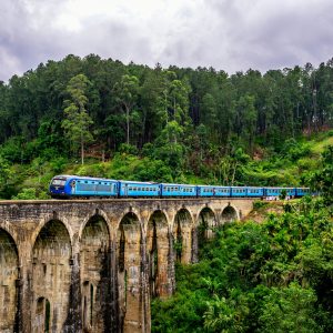 Sri Lanka tra Capitali, natura e mare - febbraio