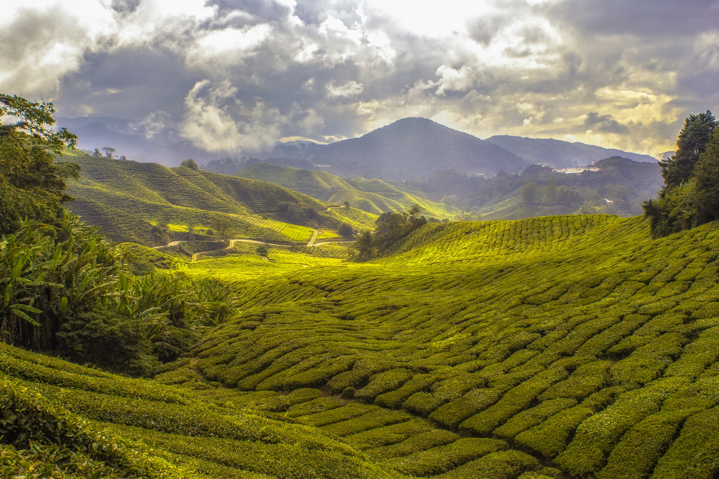 La Malesia che sognavi - gennaio - immagine 3