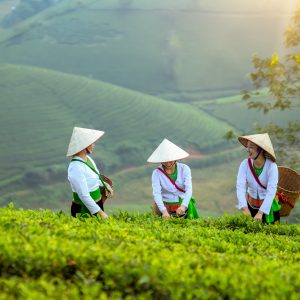viaggio di gruppo vietnam