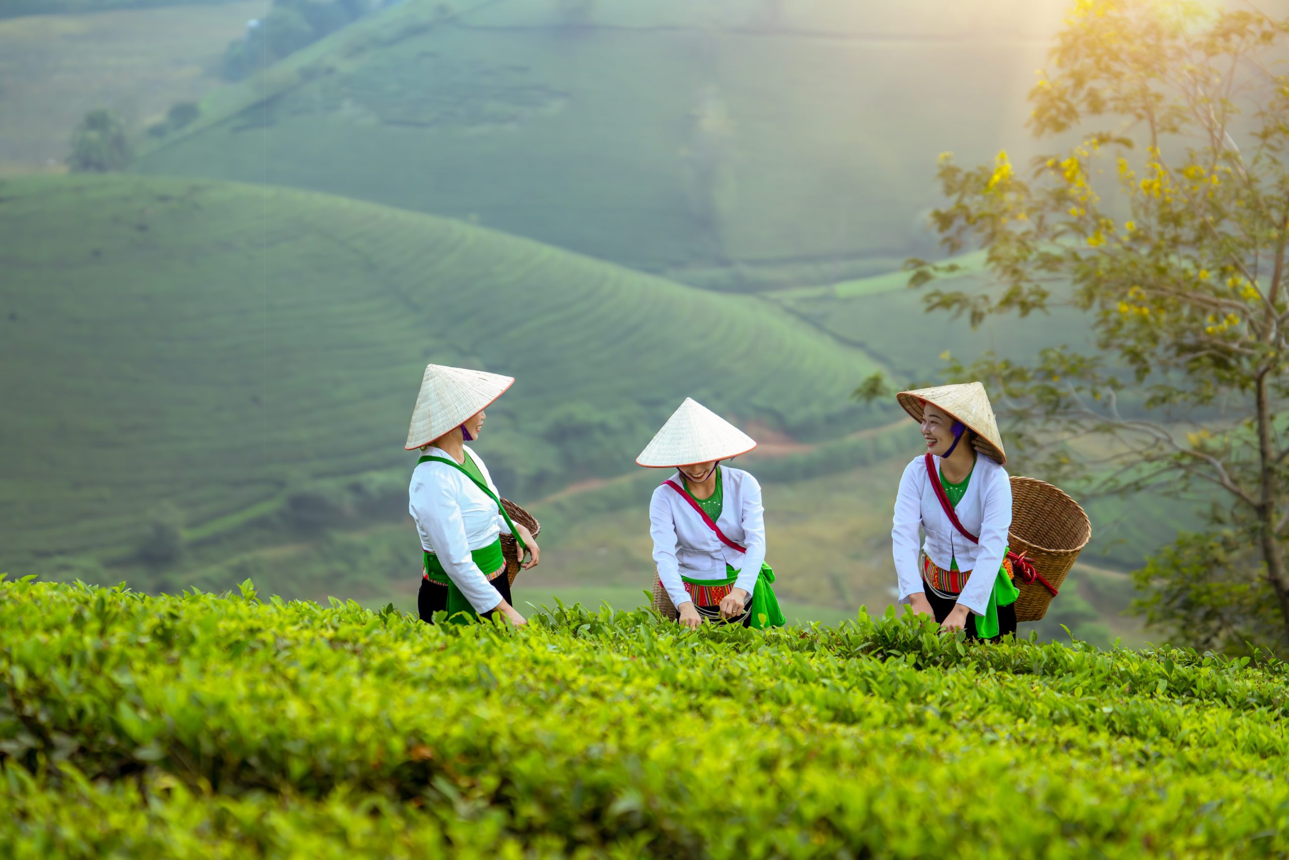viaggio di gruppo vietnam